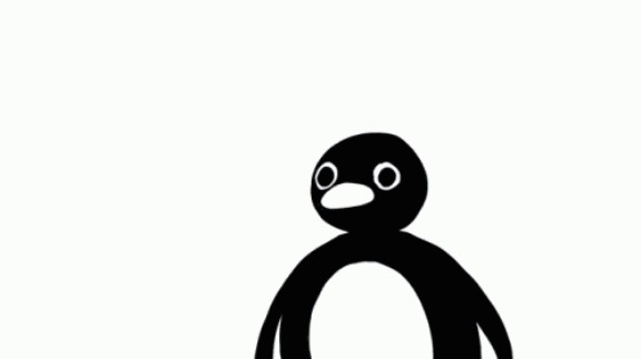 Create meme: penguin nuut nuut, noot, noot noot meme
