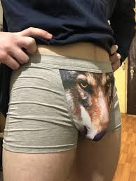 Create meme: wolf underpants, wolf men's underpants, cowards 