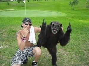 Создать мем: шимпанзе, обезьяны и девушки фото, обезьяна