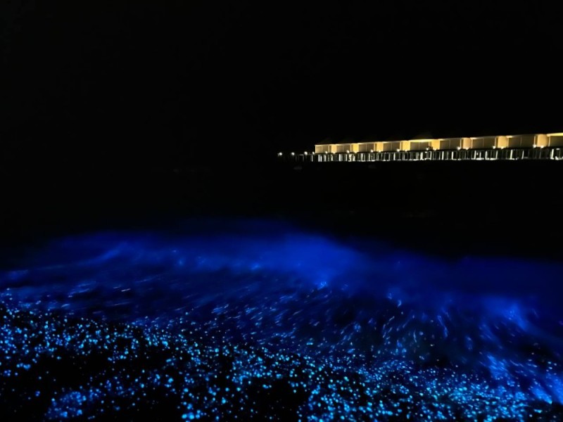 Создать мем: море ночью, остров ваадху мальдивы, светящийся планктон в черном море