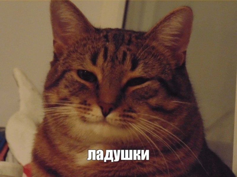 Create meme: an understanding cat, good cat meme, smiling cat meme