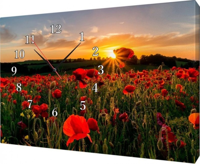 Create meme: poppy field, field with poppies, nature 