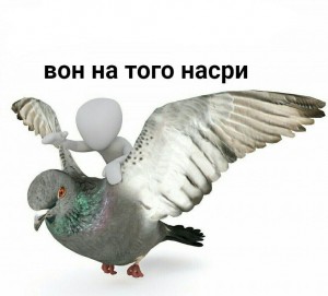 Create meme: grey dove, dove