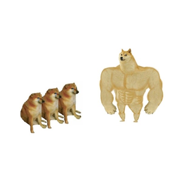 Create meme: doge Jock, the pumped-up dog from memes, pumped up dog meme template