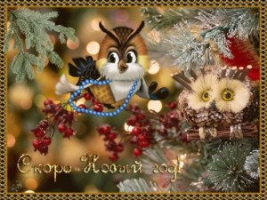 Создать мем: живые открытки с пожеланиями, фото на рабочий стол елка новый год, елка сова