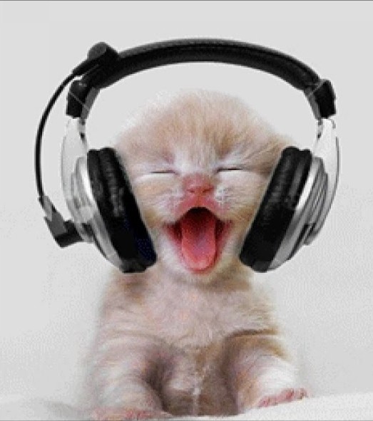 Create meme: cat with headphones, cat with headphones, kitten with headphones