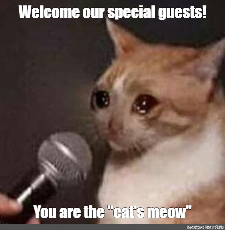 youre welcome cat