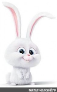 Create meme: the secret life of Pets Bunny, Bunny, white Bunny