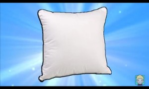 Create meme: pillow feather, decorative pillow case, pillowcase