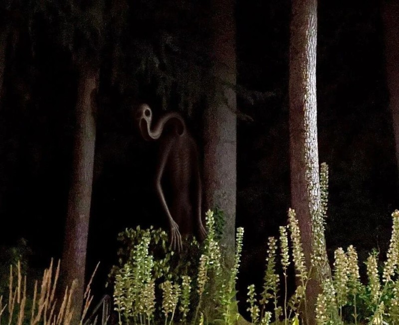 Создать мем: замок совы фильм 1999, темнота, страшные существа в лесу