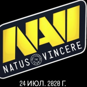 Создать мем: natus vincere, логотип, navi cs go эмблема