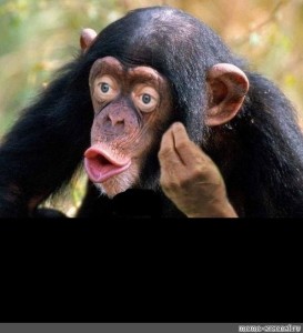 Create meme: chimpanzee, chimp meme, monkey with lips
