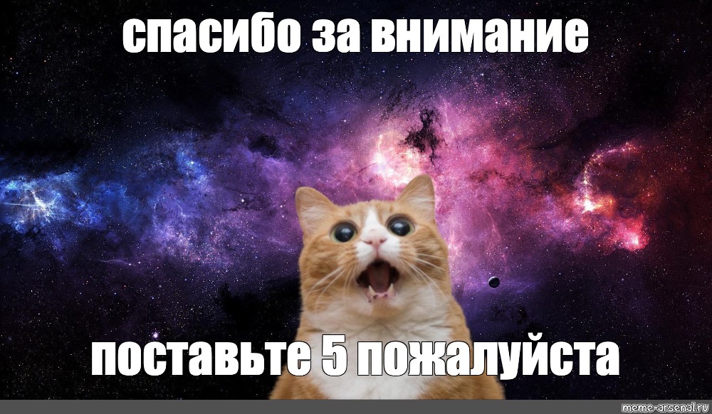Ставь на пятерку. Спасибо за внимание космос. Спасибо за внимание космос Мем. Спасибо за внимание кот в космосе. Спасибо за внимание котик.