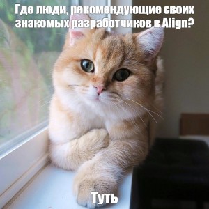 Создать мем: котик где живет любовь, котики, cat