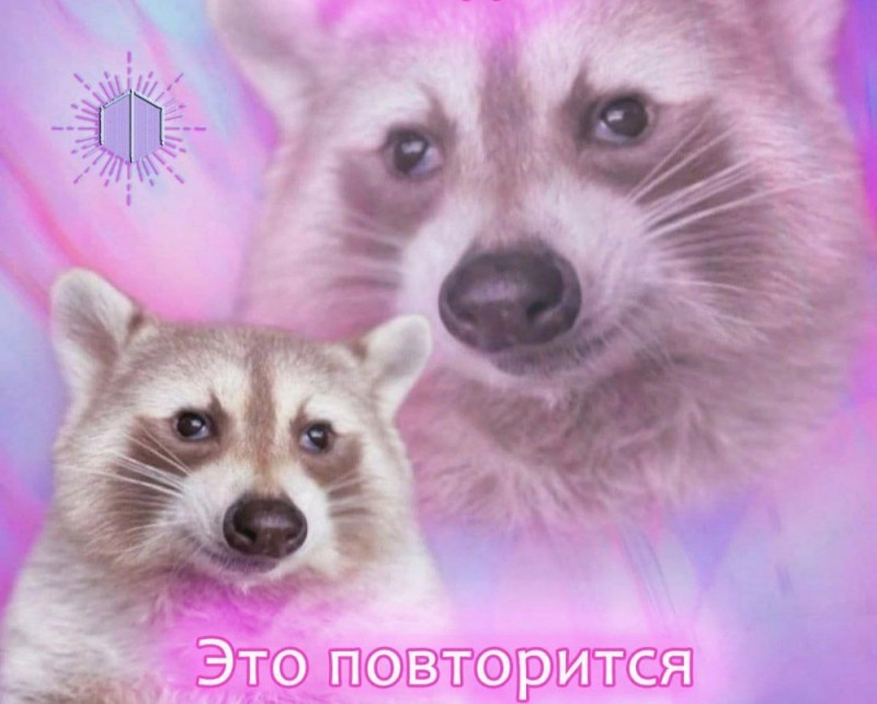 Создать мем: raccoon, милый енотик, енотик