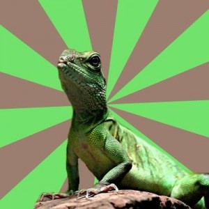 Создать мем: reptile, iguana, lizard
