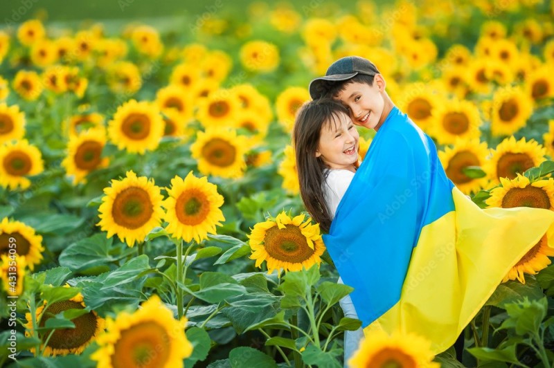 Create meme: field of sunflowers, flowers sunflowers, background of sunflowers