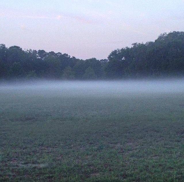 Create meme: fog nature, foggy field, Fog fog