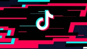 Создать мем: значок tik tok, tik tok лого, tik tok обои