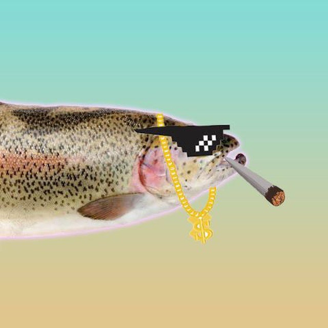 Create meme: trout , trout fish , trout fishing