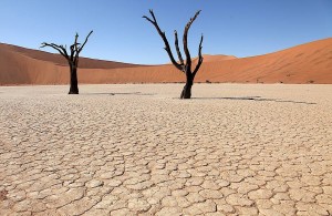 Создать мем: намибия пустыня, deadvlei намибия, дерево в пустыне