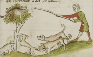 Create meme: the middle ages, medieval, medieval bestiary lynx