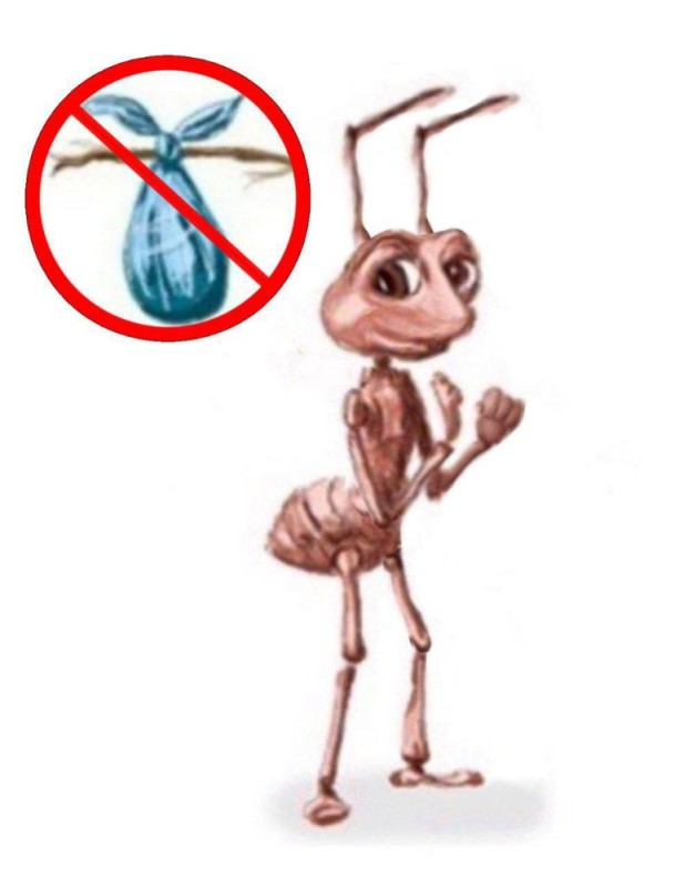 Create meme: insect, cartoon ant, ant drawing for children