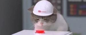 Create meme: cat, cat and button, cat in a helmet meme