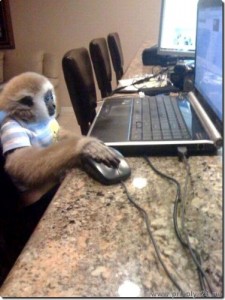 Создать мем: the internet, a monkey, мем обезьяна