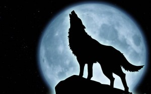 Создать мем: волк вой, воющий волк, аниме волк на фоне луны