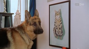 Create meme: German shepherd, German shepherd dog, shepherd