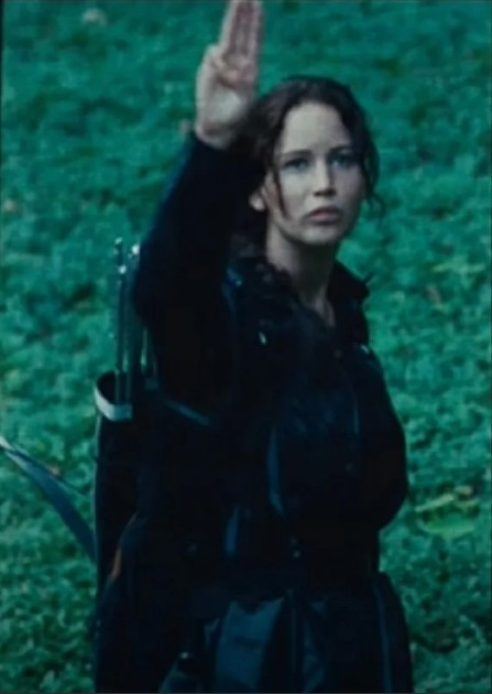 Create meme: The Hunger Games by Jennifer Lawrence, the hunger games , katniss