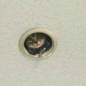 Создать мем: встраиваемый светильник, дырка в натяжном потолке, отверстие под светильник в натяжном потолке