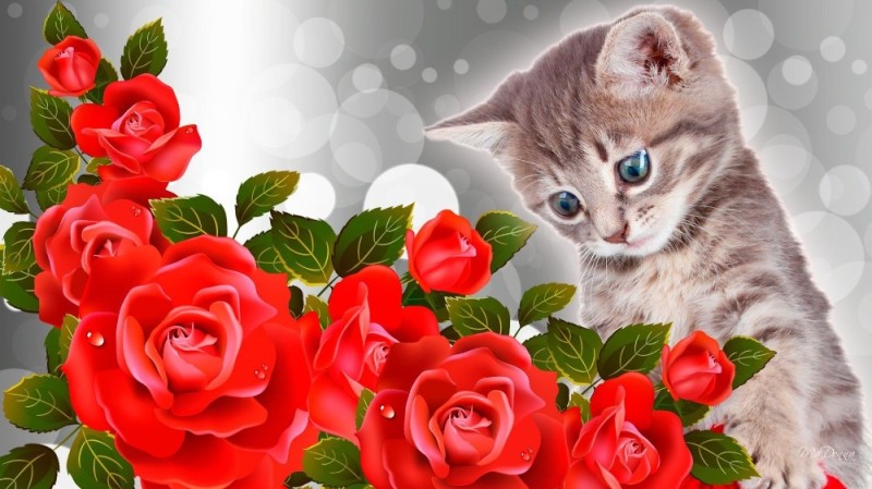 Create meme: kitten with a rose, kittens with roses on the phone, painting kitten with a rose