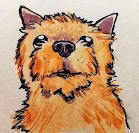 Create meme: pixel boom mini mosaic, Kern Terrier drawing, dog sketch