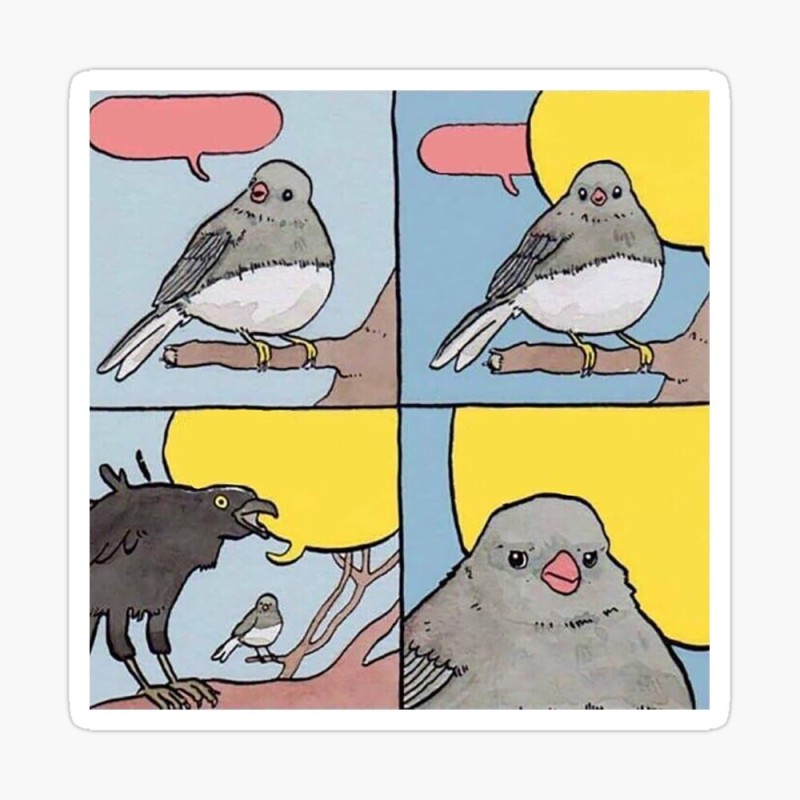 Создать мем: смешной голубь, воробей и ворона мем, мем с птичкой