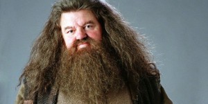 Create meme: Hagrid portrait, Martin Bayfield Hagrid, young Rubeus Hagrid