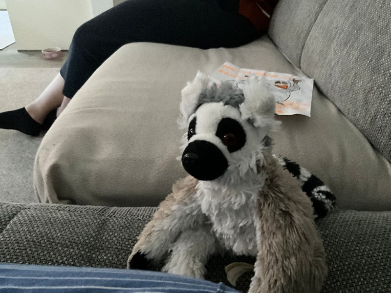 Create meme: toy , lemur toy, soft toy lemur