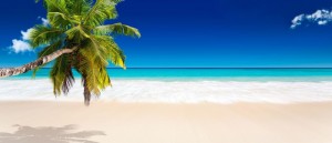 Создать мем: тропический пляж, море пляж пальмы, пляж море пальмы песок