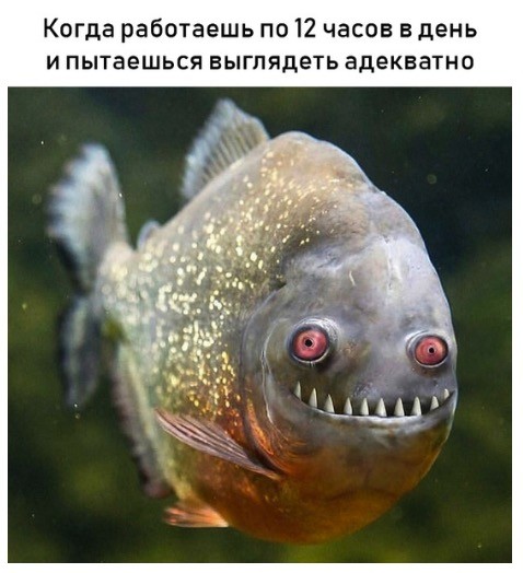 Создать мем: пираньи, рыба улыбается мем, смешная рыба