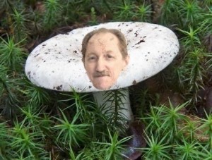 Create meme: mushroom