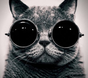 Создать мем: кот космос очки, котик в очках, кот в очках картинки