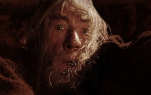 Create meme: run you fools Gandalf, run you fools , the Lord of the rings Gandalf