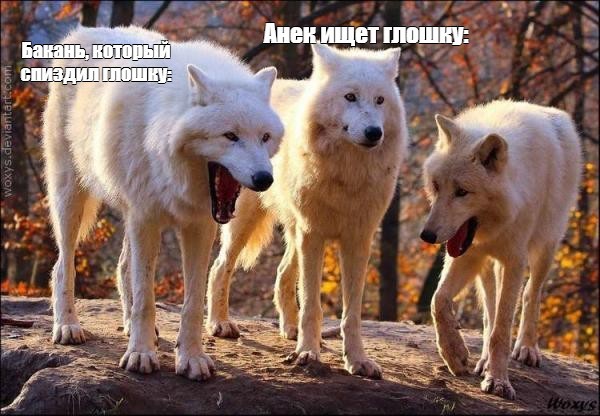 Create meme: three wolves meme, wolves pack , wolves laugh meme