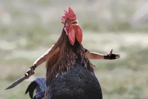 Create meme: meme cock, birds, cock man