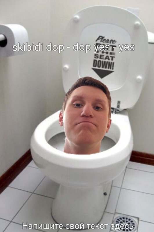Create meme: toilet , the head from the toilet, meme toilet