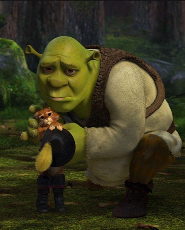 Create meme: Shrek Shrek, Shrek characters, Shrek 2 