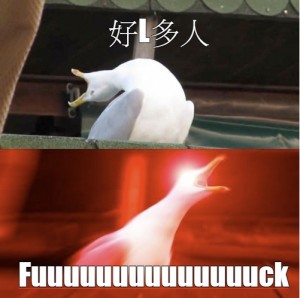 Create meme: screaming Seagull meme, meme Seagull deep breath, meme Seagull