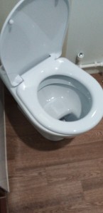 Create meme: toilet floor standing, WC CD, the toilet