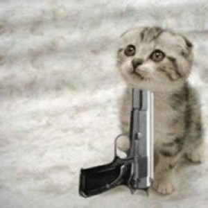 Create meme: a cat with a gun at his temple, cat with a gun, kitten at gunpoint